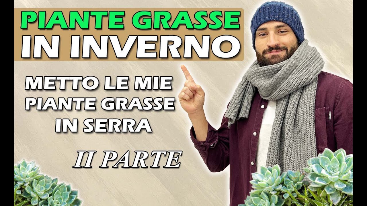 PIANTE GRASSE IN INVERNO metto le mie piante in SERRA