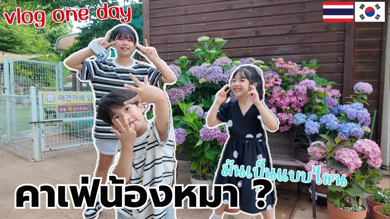 Ep.62ช่วงปิดเทอมไปคาเฟ่น้องหมา ถ่ายรูปด้วยกันครบและอัพเดทเรื่องต่างๆl한태부부