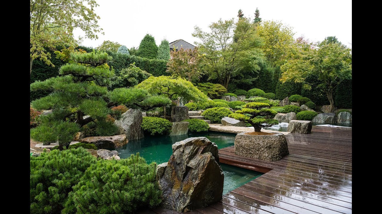 Modern Koi Blog #3467 - Der Privatteich und Japangarten von Stargartendesigner Jürgen Kirchner