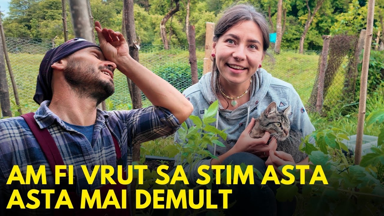 O viata simpla, o viata cu sens