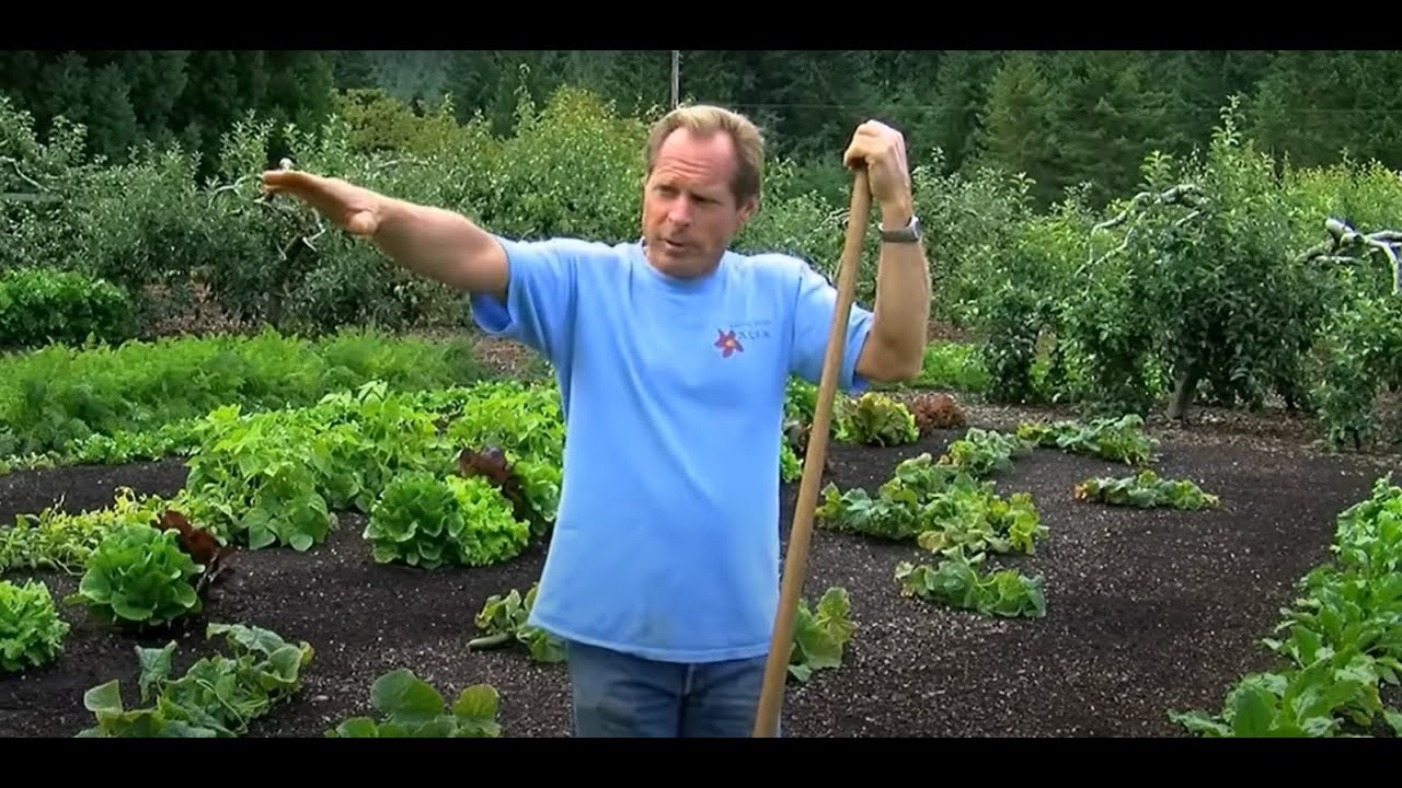 Gradina Edenului documentar romana  - Paul Gautschi - metoda fara sapat (no dig)