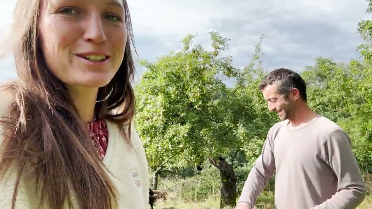 Herausforderungen, learnings und Sommermomente auf unserem wilden Hof Vlog August 