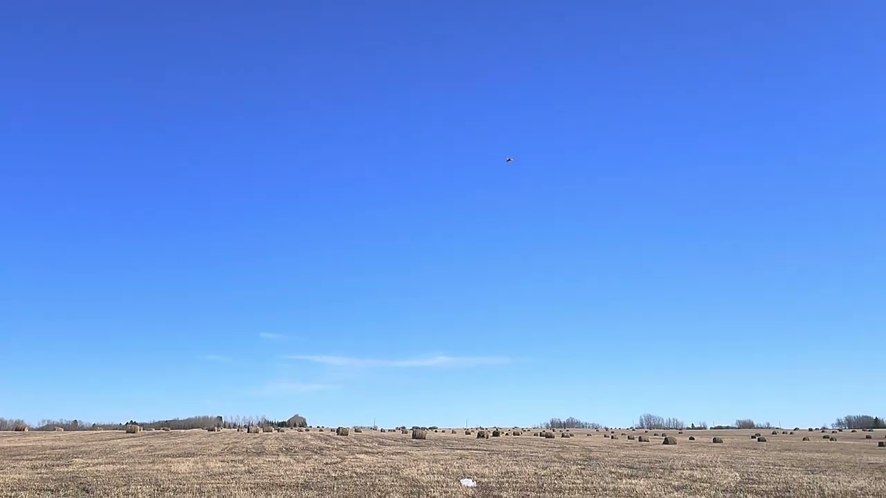 Viggen fly on family day part 2