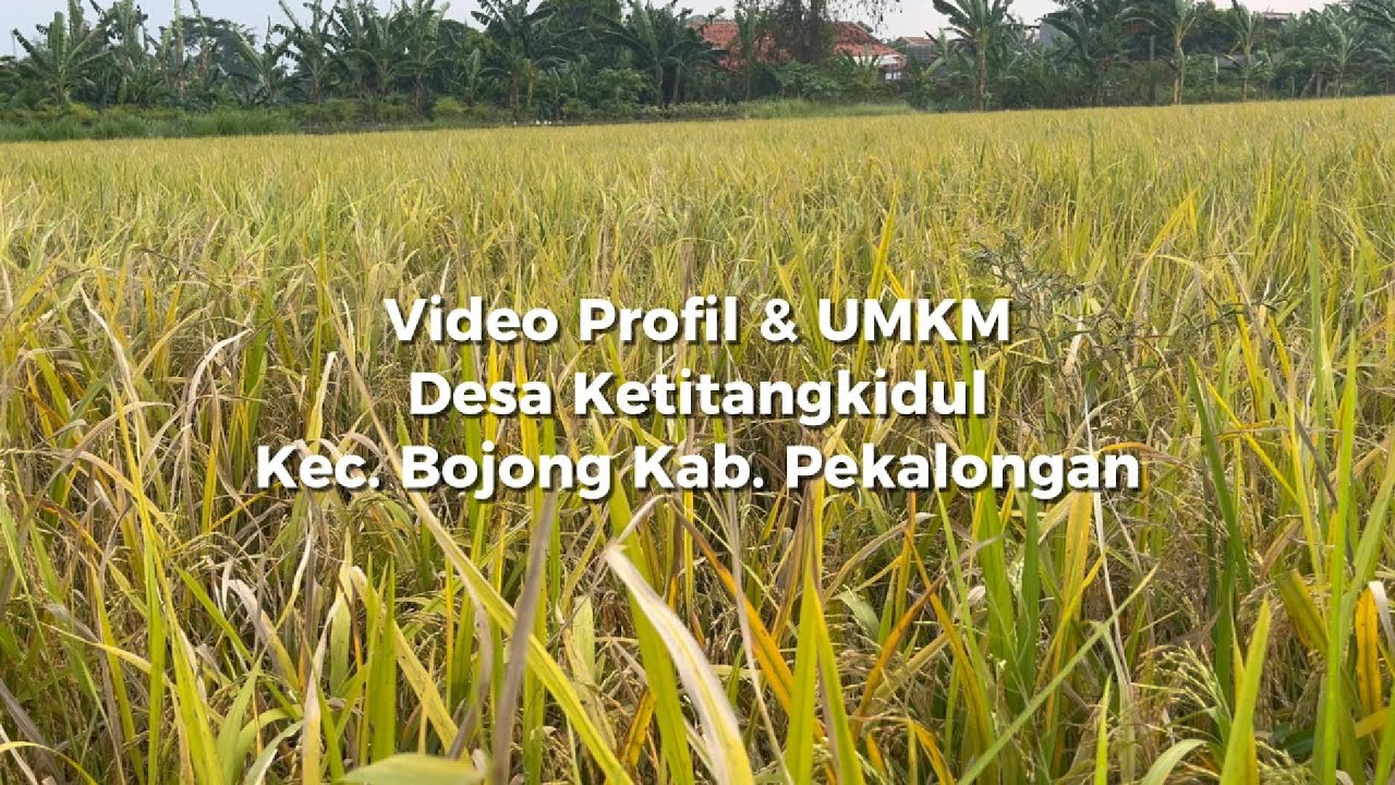 Video Profil & UMKM Desa Ketitangkidul Kabupaten Pekalongan
