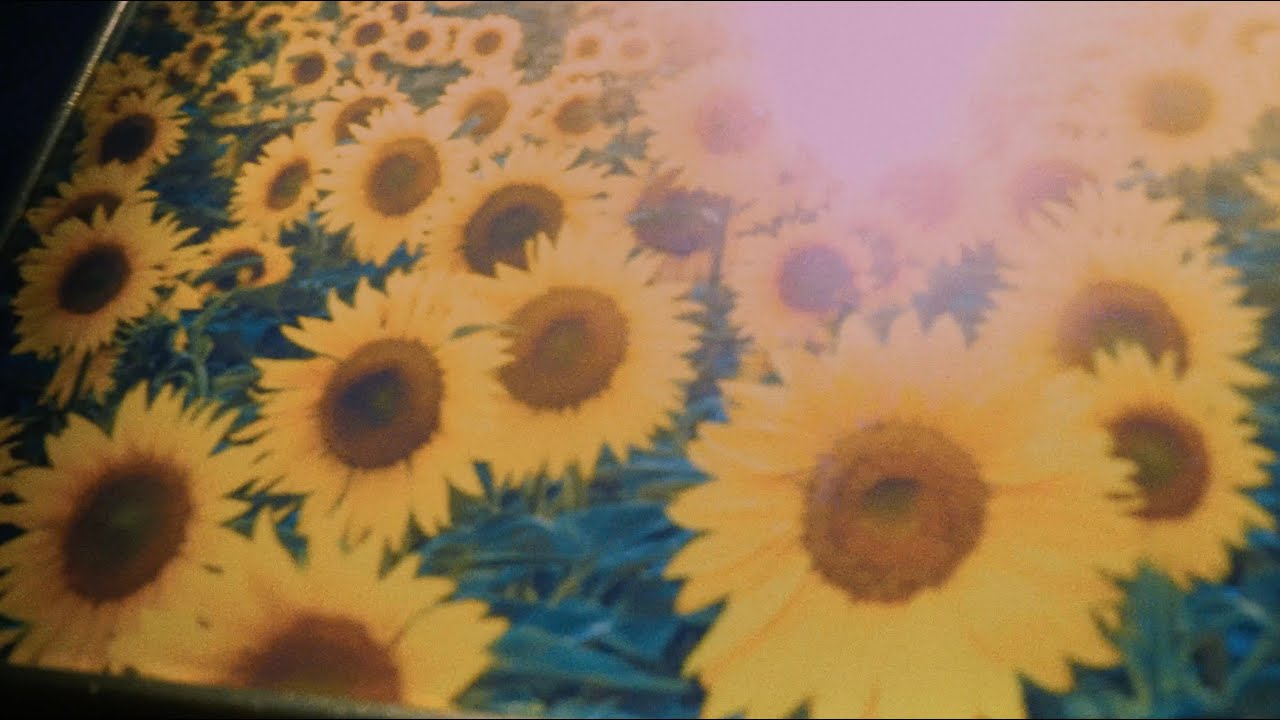 當代電影大師 Modern Cinema Master - 你需要我的時候 Good Night【Official Music Video】