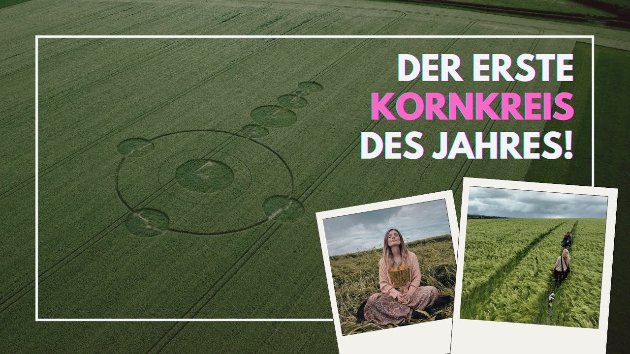Unser Besuch beim ersten Kornkreis des Jahres! Wohhooo!!! 😁😁