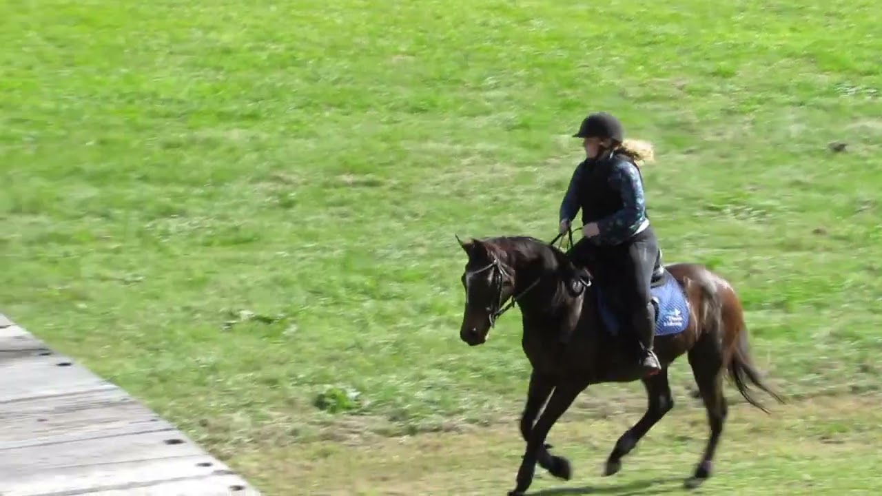 Hazel Shannon Clinic 26.5.24