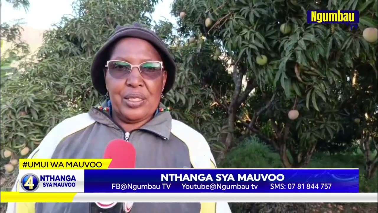 Kiio kya aimi ma maembe Makueni