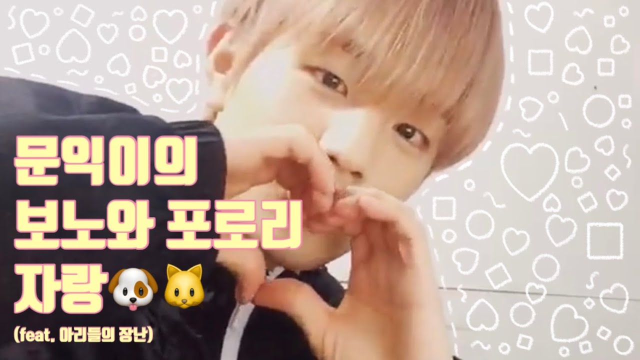 [동키즈/DKZ ] 문익이의 보노와 포로리 자랑🐶🐱 (feat. 아리들 장난)