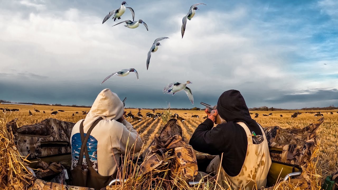EPIC ALBERTA PINTAIL BEATDOWN! 4 MAN LIMIT