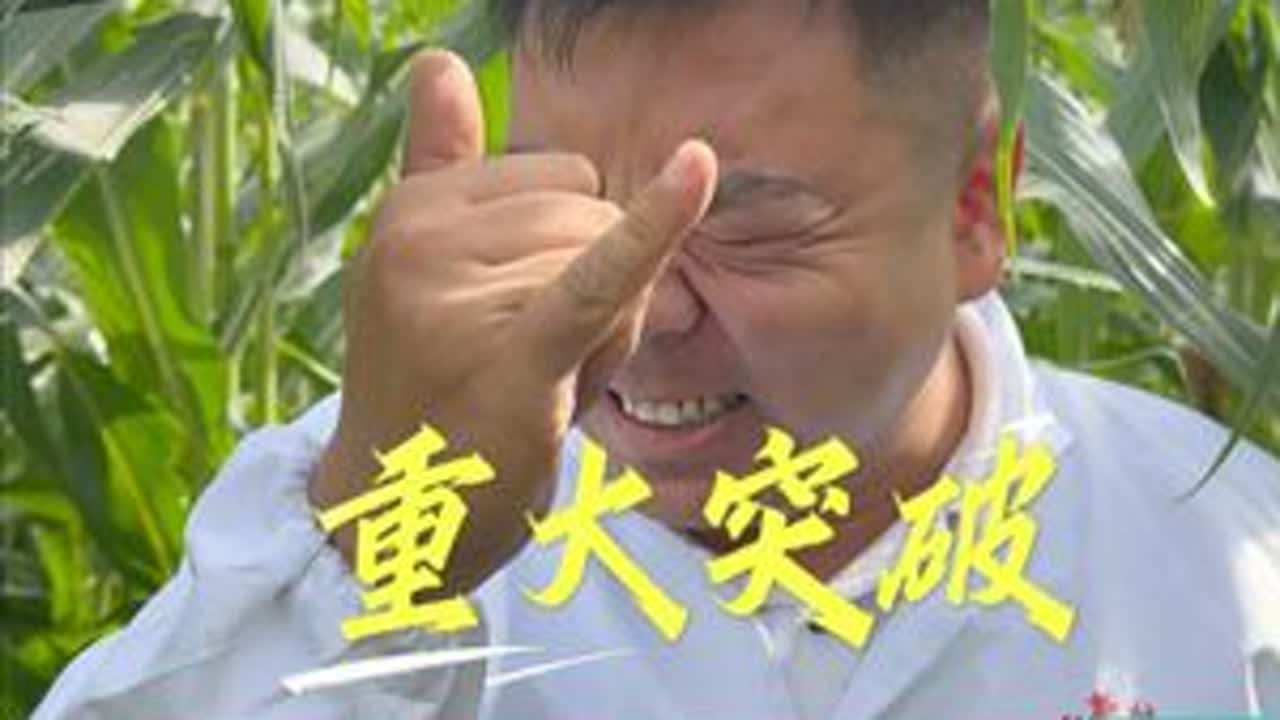我国种子芯片 重大突破 第五积温带 高寒地区再也不被外国卡脖 #抖音助农 #丰收季 #玉米种植
