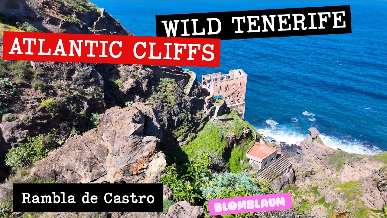 Rambla de Castro Trail Tenerife 🌿 Dramatic Cliffs, Fort & Atlantic Coastal Walk 4K