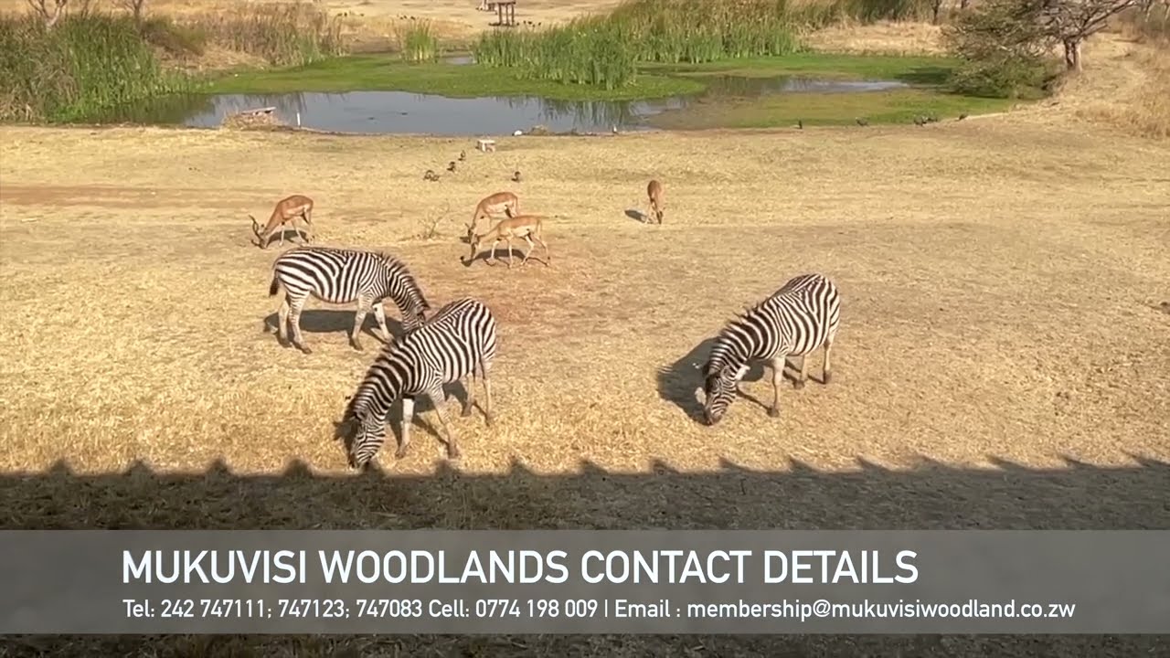 Mukuvisi Woodlands Harare - a day's visit