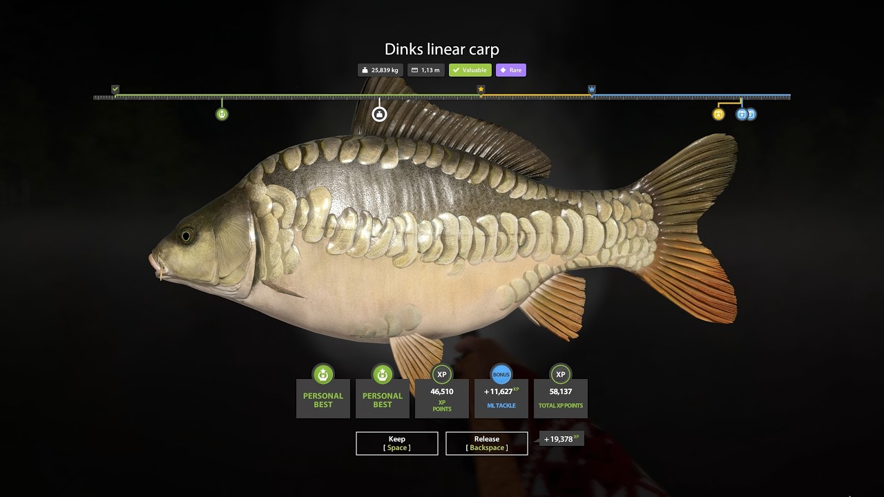 RF4 Fresh Highlights // Nice carp fights with locking the reel.