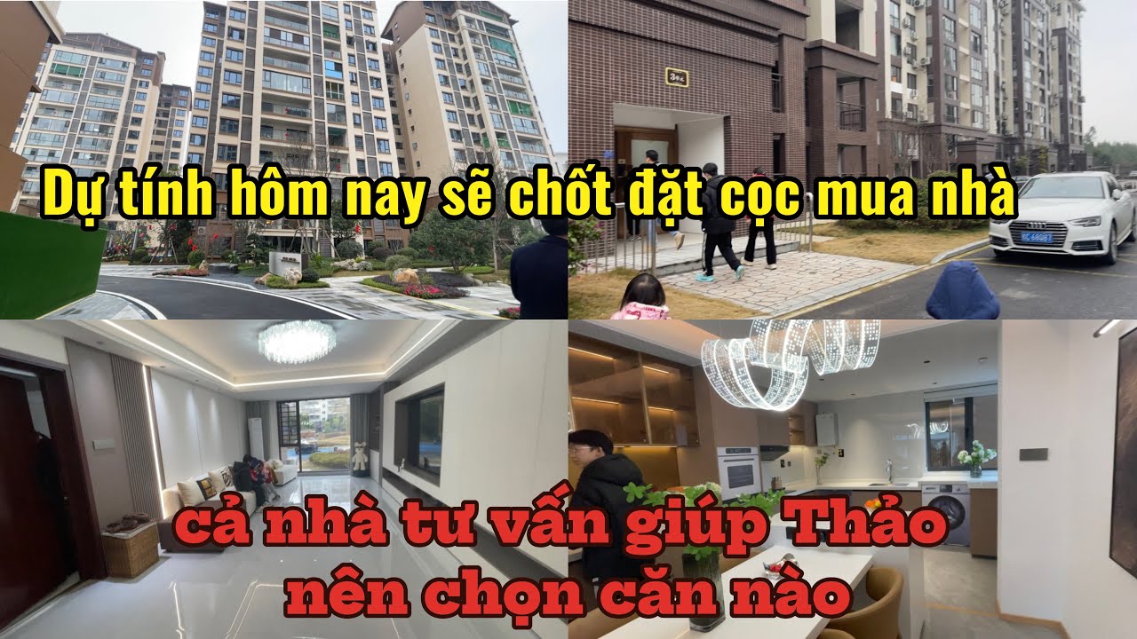 #286 KẾ HOẠCH ĐI CHỐT CỌC MUA NHÀ nhưng CHƯA THÀNH CÔNG,cả nhà cho Thảo xin lời khuyên