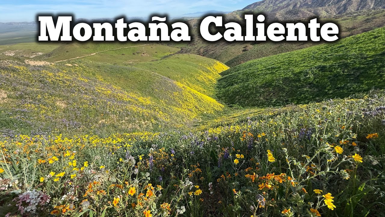 Un espectáculo de flores en la Montaña Caliente