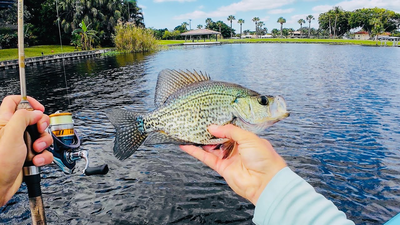 Kayak Fishing Florida Canals for GIANT Bluegill and Peacock Bass | Lake Ida