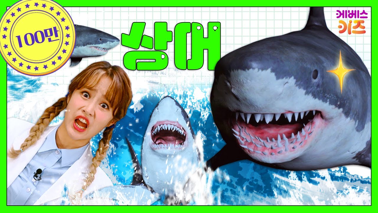 날카로운 이빨을 가진 상어! 상어가 나타났다ㅣ상어는 어떤 똥을 쌀까?ㅣTV유치원 동물 사전ㅣ헤이지니ㅣKBS방송