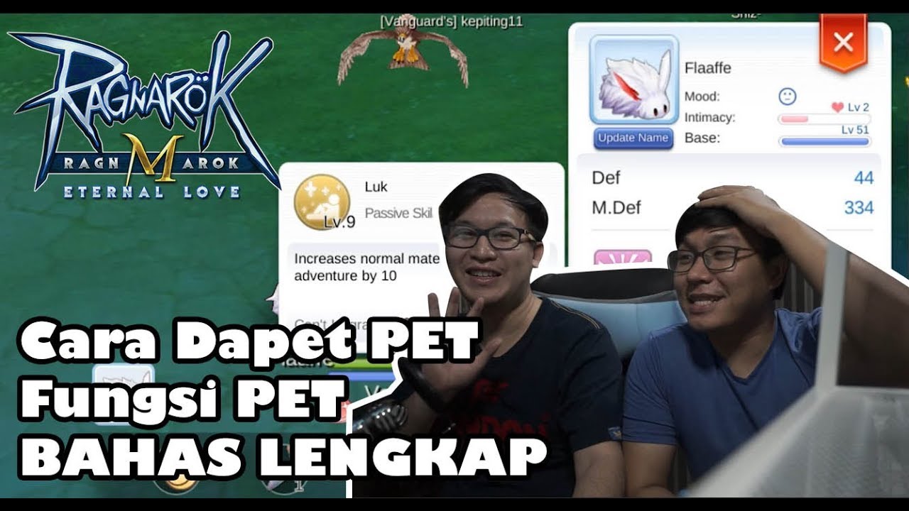 BAHAS PET LENGKAP ! Ragnarok M