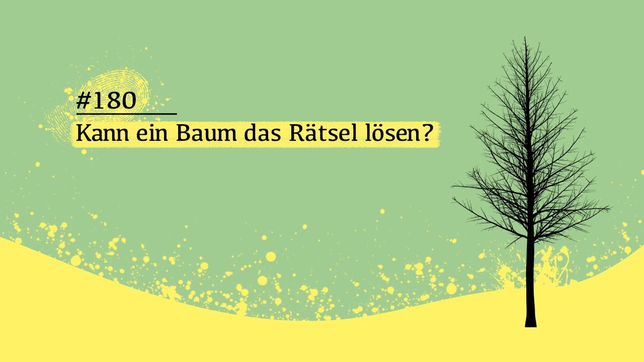 Kann ein Baum das Rätsel lösen? Das Verschwinden von Mengqi | #180 Schwarze Akte [Podcast]