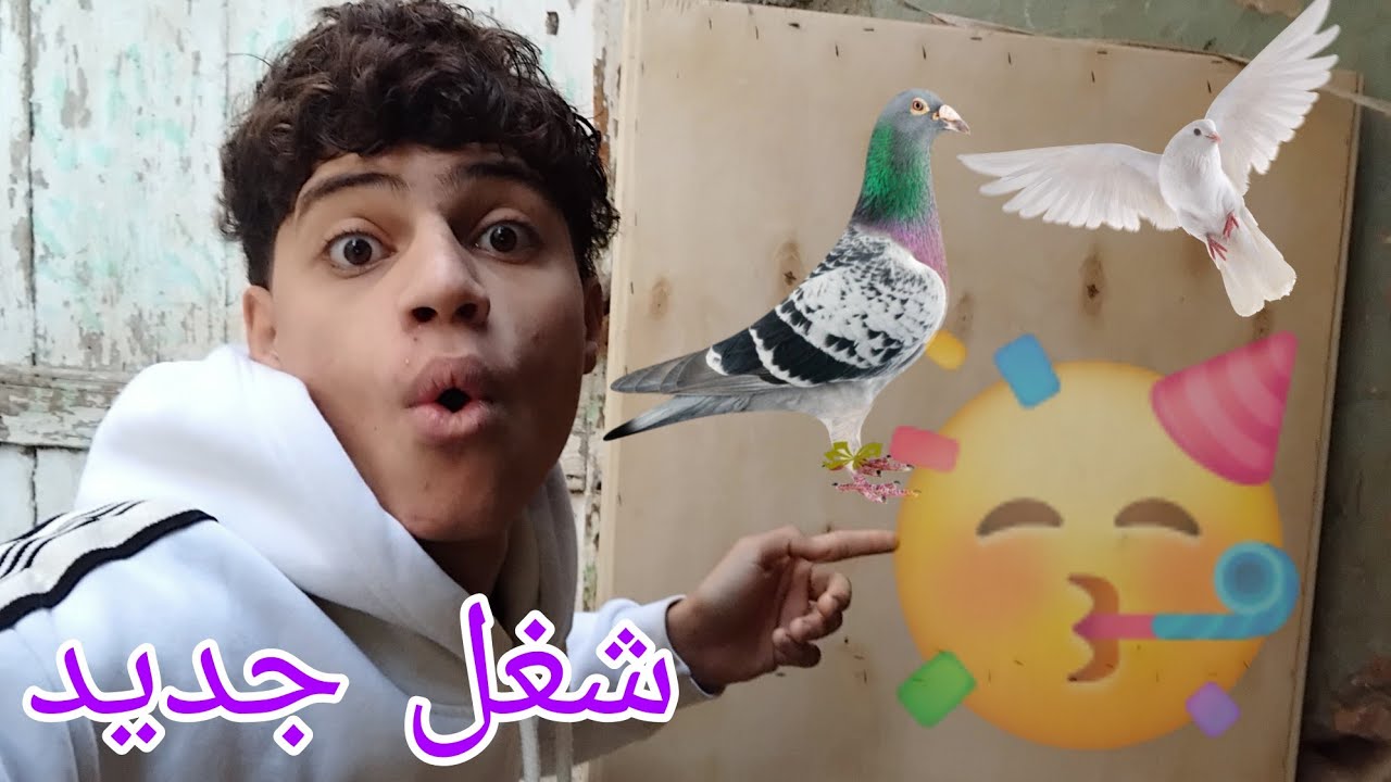 عملت شغل جديد عند الحمام 🥳/وركبت بابا علي السطح 🤔👌🏻