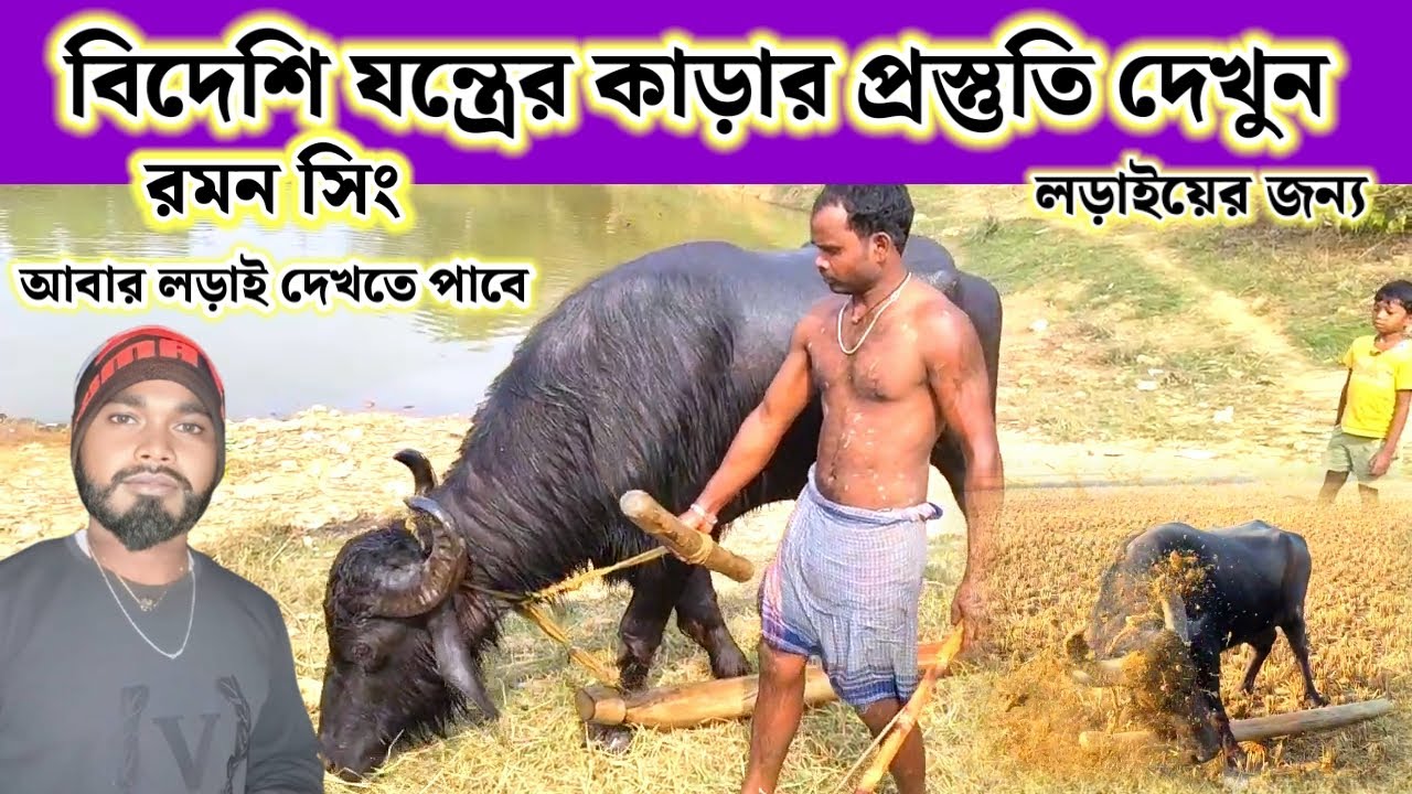 রমন সিং এর কাড়ার প্রস্তুতি দেখুন লড়াই এর জন্য । কবে লড়াই এবং কোথায় হবে ।