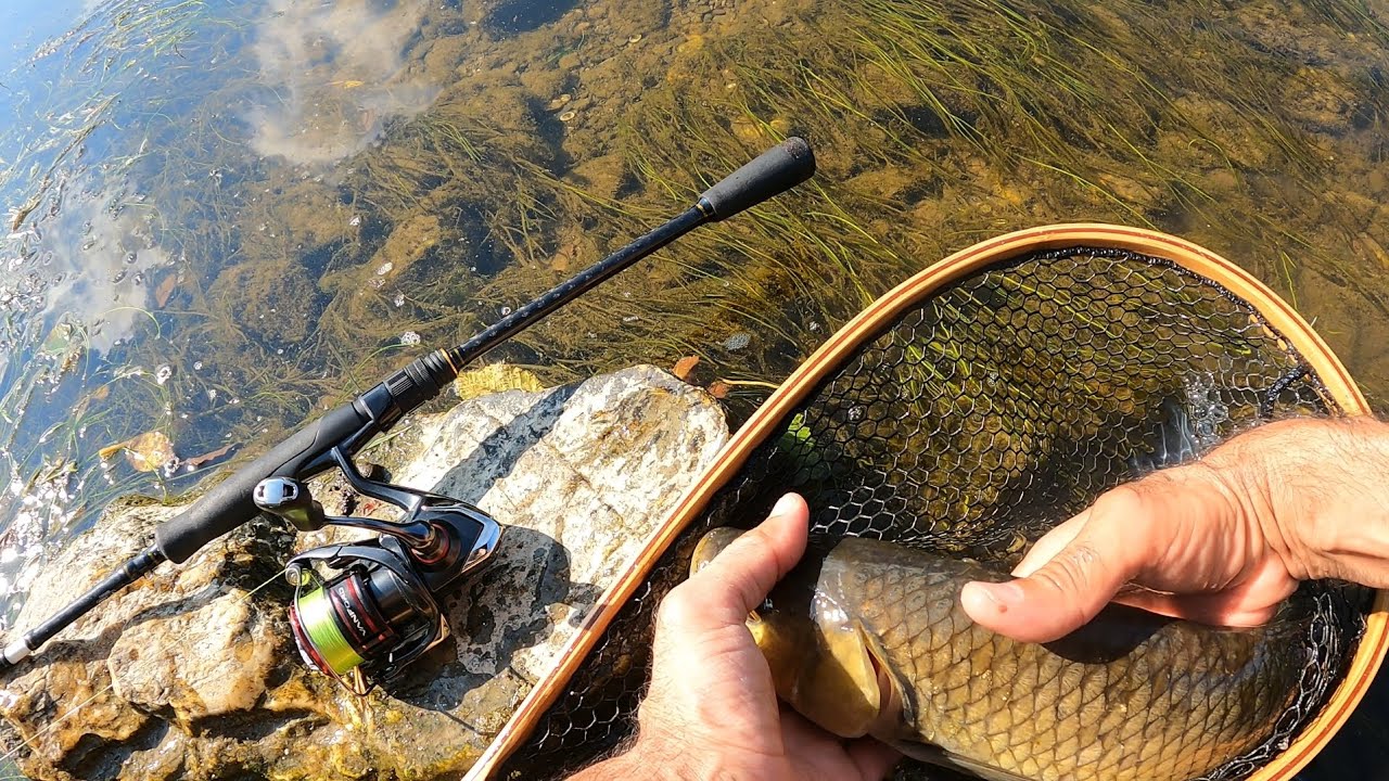 🇵🇹 Incrível pesca com Popper!