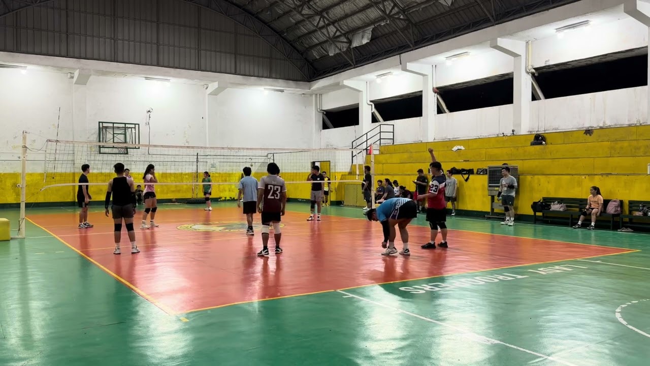 February 21 (SATURDAY) YG volleyball club 