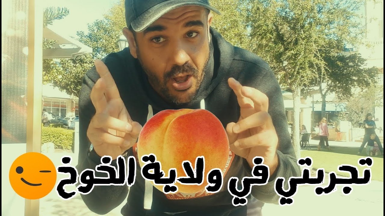 ( الحياة في أمريكا (18) - ولاية جورجيا ( تجربتي في ولاية الخوخ