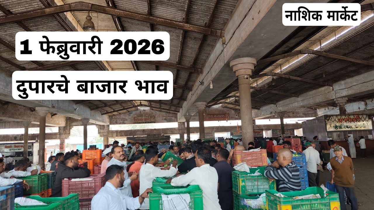 1 फेब्रुवारी 2026 | दुपारचे बाजार भाव नाशिक मार्केट | Vegetables Market nashik rate today.