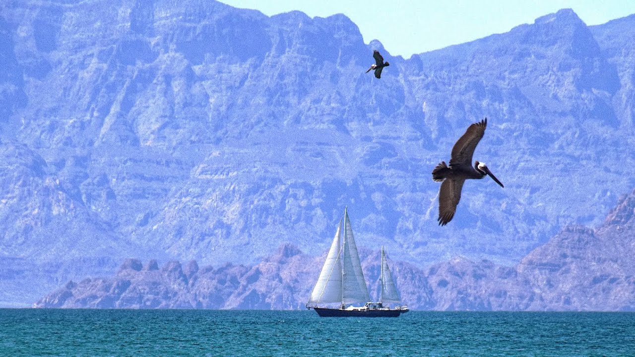 Ep 96 | Incredible sailing | new friends and anchoring drama