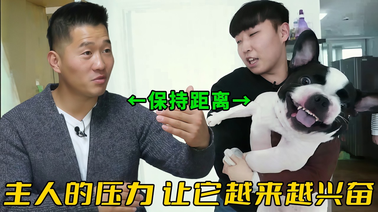 法鬥見人就咬，訓犬師直接把它丟出門外，說這狗純屬嘴癢冷處理就好