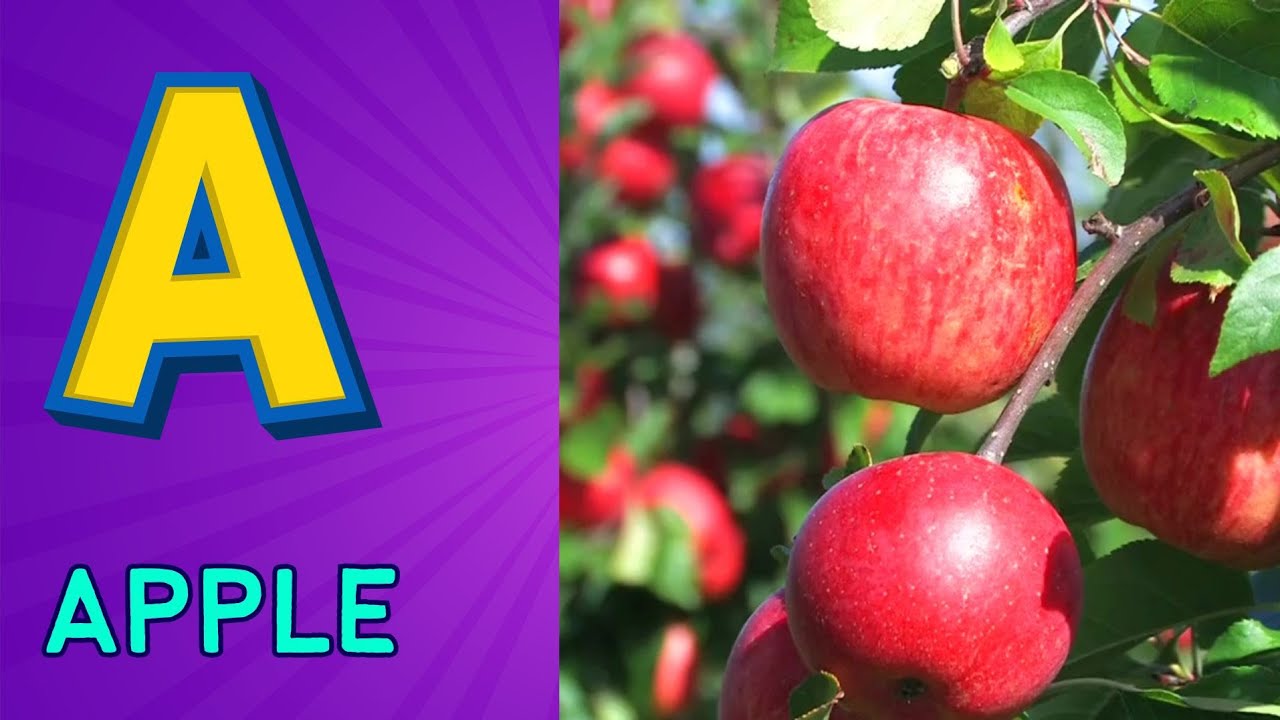 ABC Song Phonics - Toddler Learning Video , A for Apple , Nursery Rhymes , Alphabet song , ABC Song