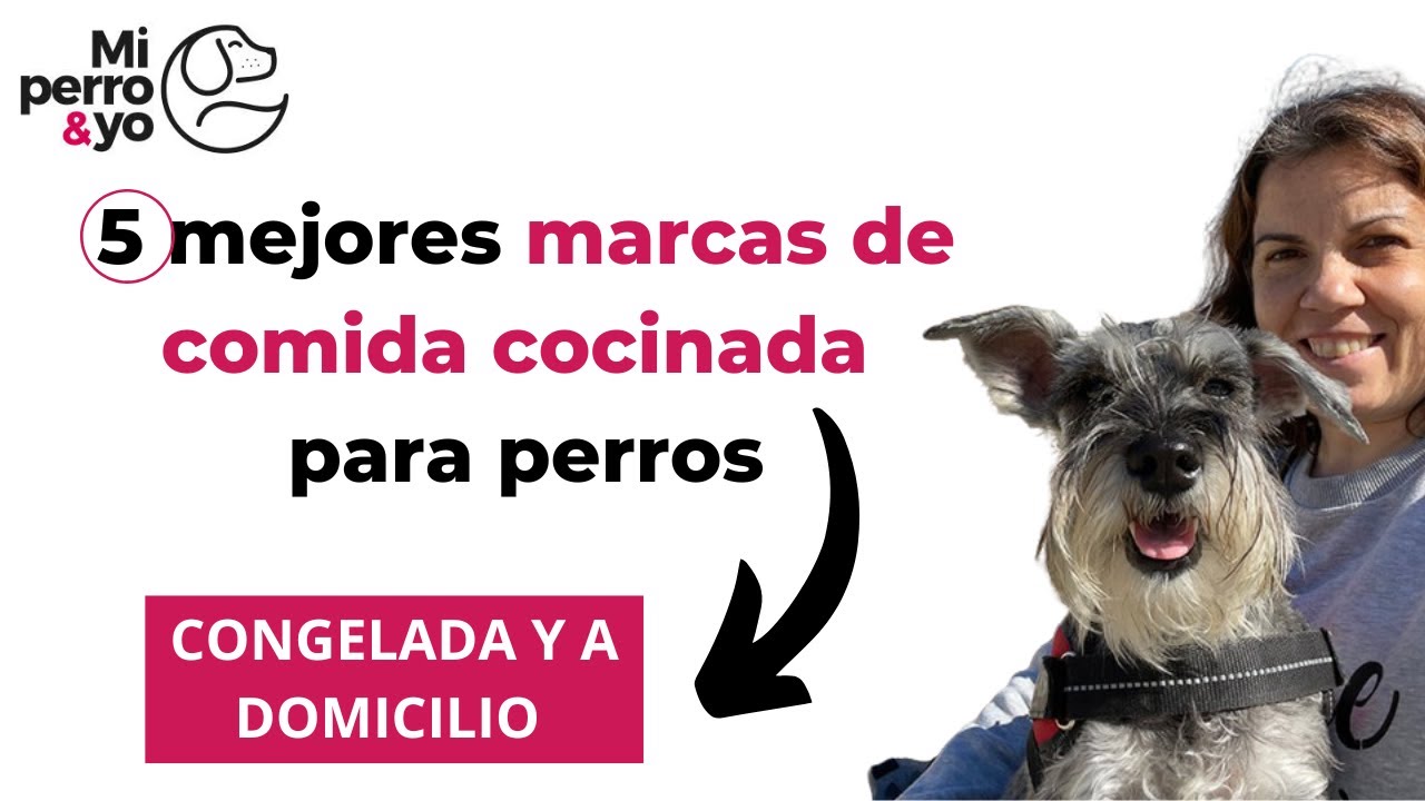5 Mejores 🔝marcas de COMIDA COCINADA para perros en España #comidaparaperros #perros #comidacasera