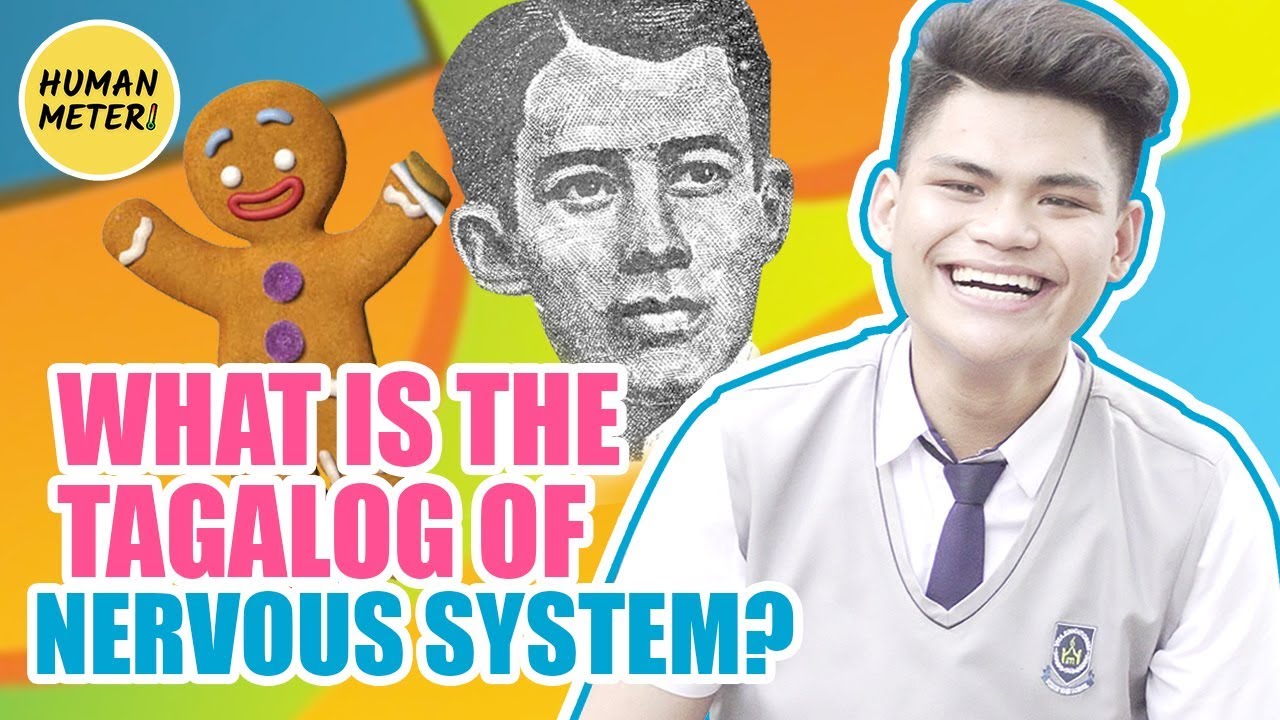 First January Tricky Questions | HumanMeter