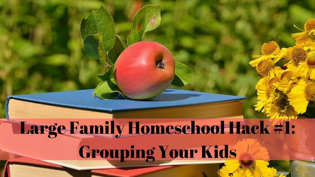 Large Family Homeschool Hack #1: Grouping Your Kids