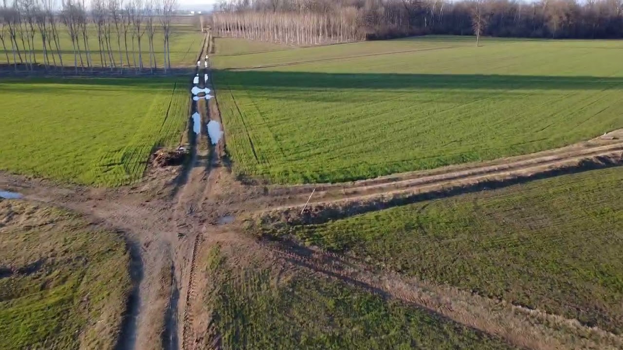 Dronata Stupinigi Torino parco naturale park drone Turin part 5