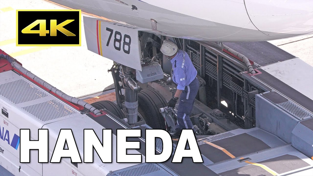 [4K] 巨大な旅客機の前輪を持ち上げて動かすトーバーレス トラクター / ANA Towbarless Tractor  TL215 - Goldhofer AG AST-1X / 羽田空港