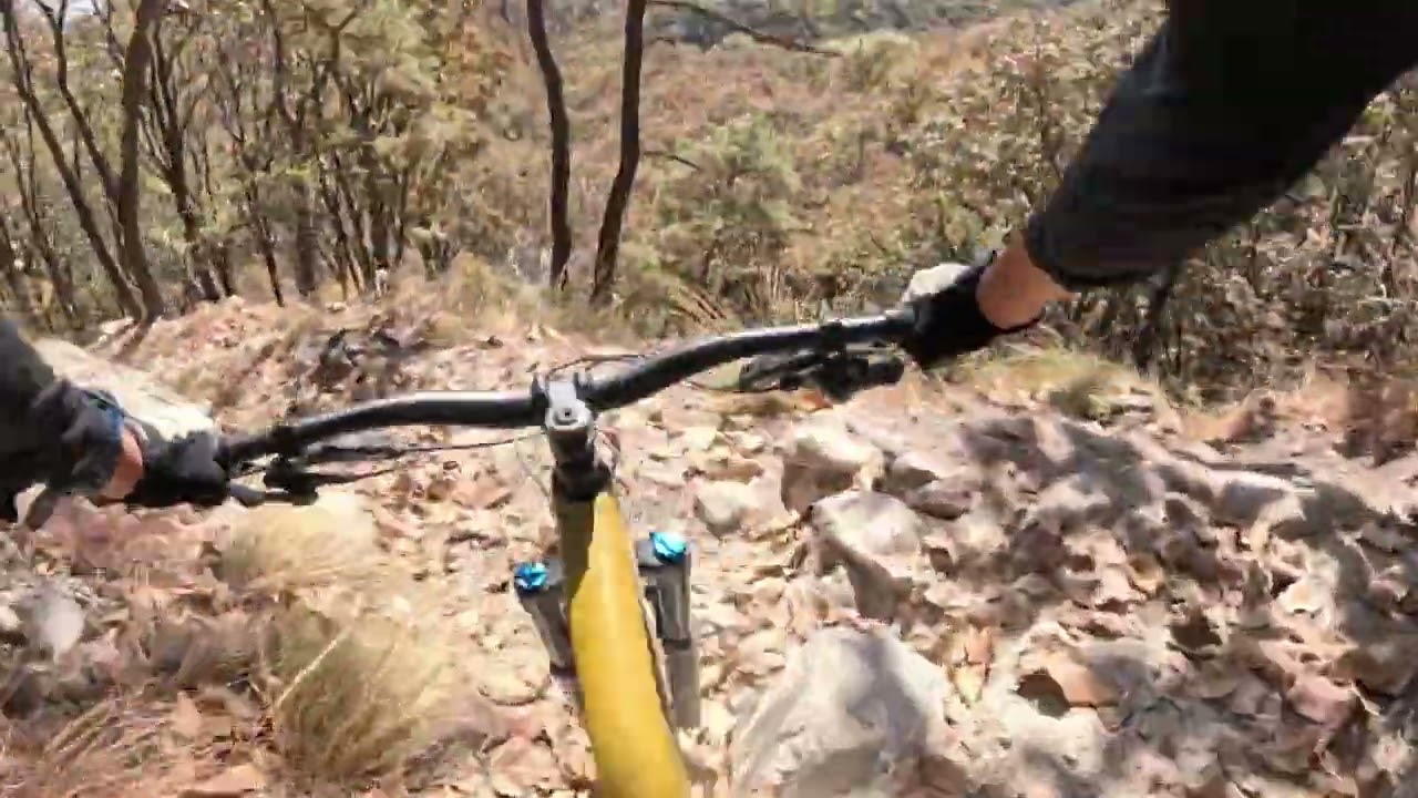 Bosque La Primavera MTB - Campe&oacute;n del mundo y Mago
