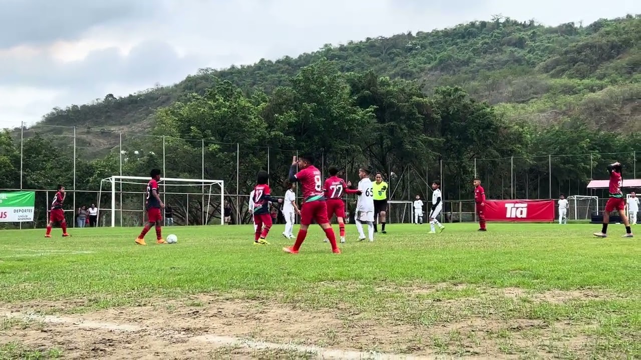 Winners vs Panthers 1er tiempo 