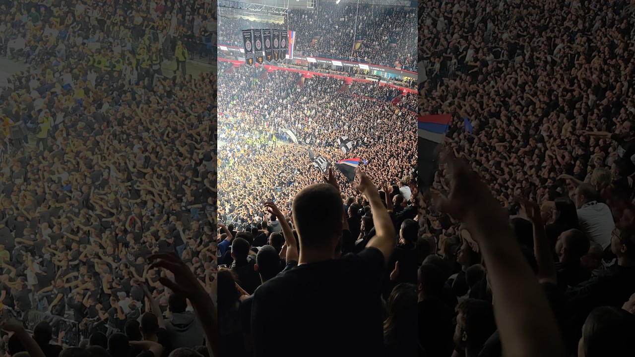 Grobari Partizan the best world basketball fans #partizan #basketball #euroleague