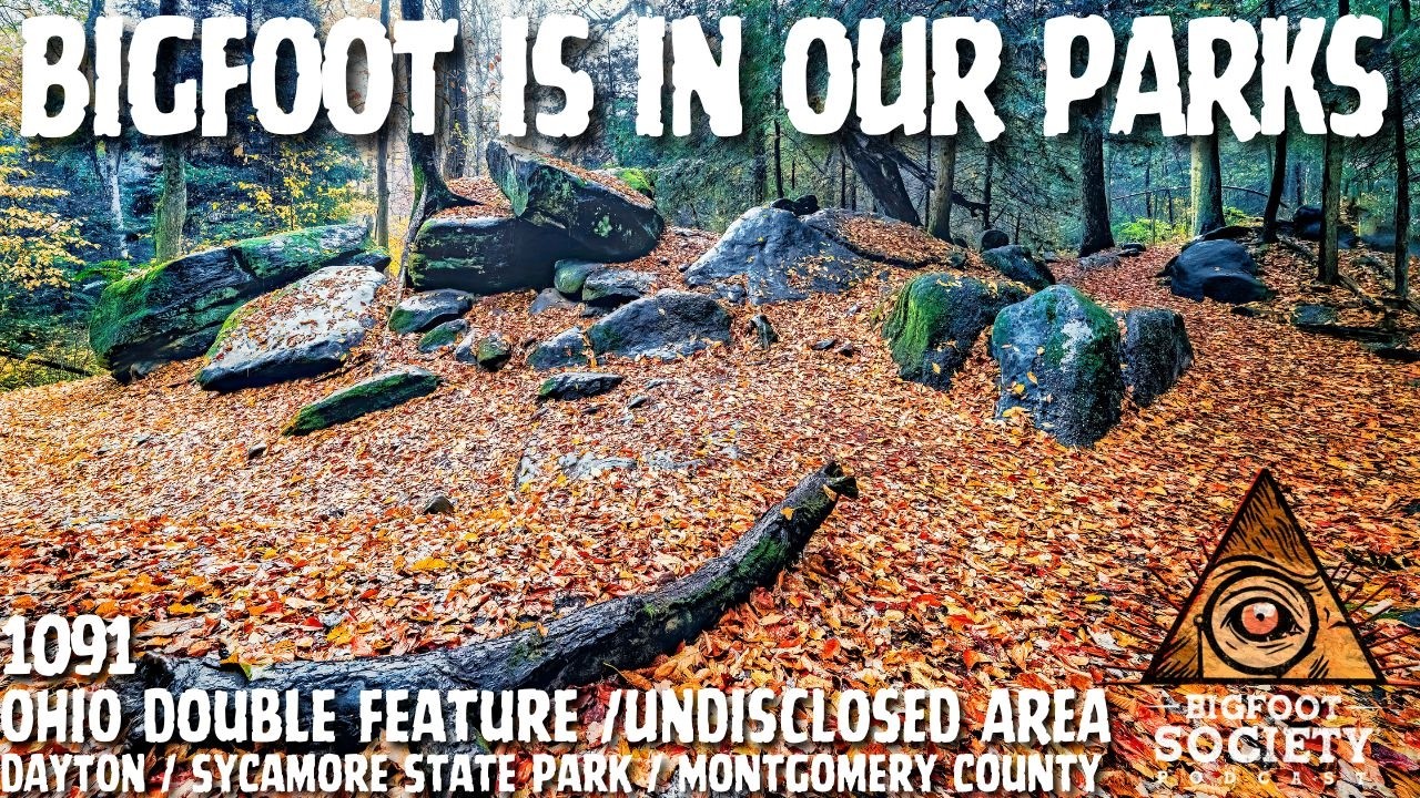 Multiple Bigfoot Encounters Across Ohio &mdash; What was seen! | Bigfoot Society 1091