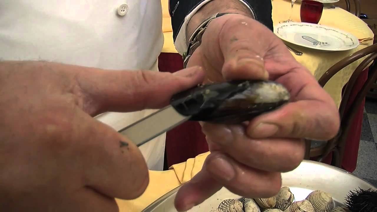 I FRUTTI di MARE: Conoscerli ed apprezzarli_uChef_TV