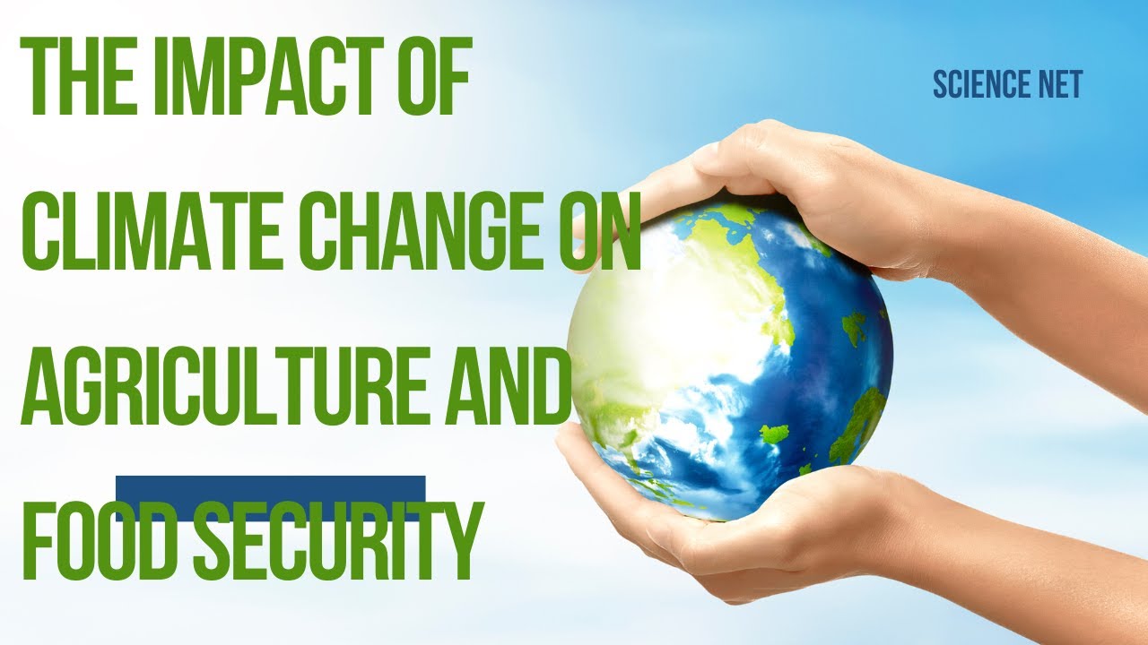 THE IMPACT OF CLIMATE CHANGE ON AGRICULTURE AND FOOD SECURITY - SCIENCE NET | #climatechange