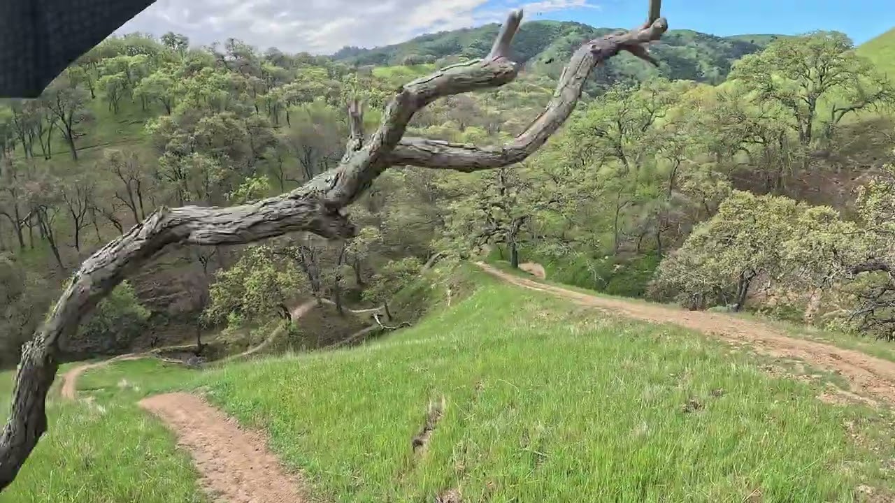 Del Valle mountain bike trails on a chill Sunday ride!!!