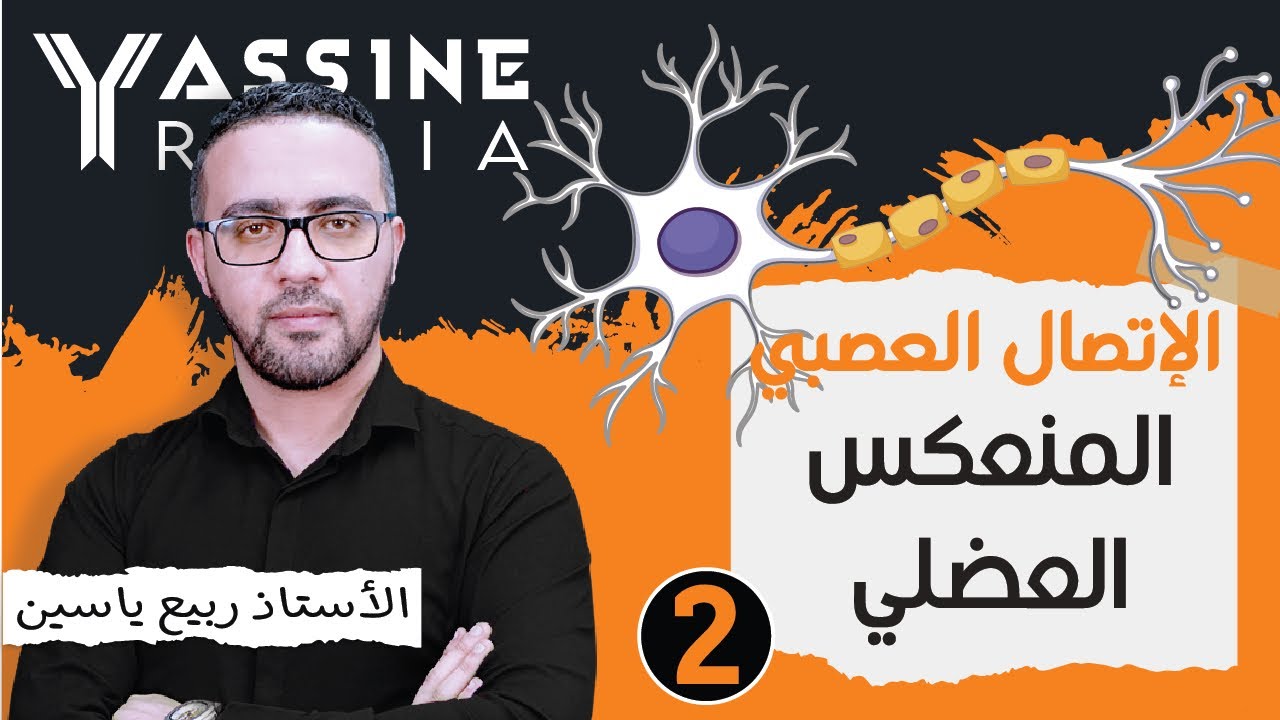 الوحدة الخامسة إتصال عصبي :  المنعكس العضلي  #02