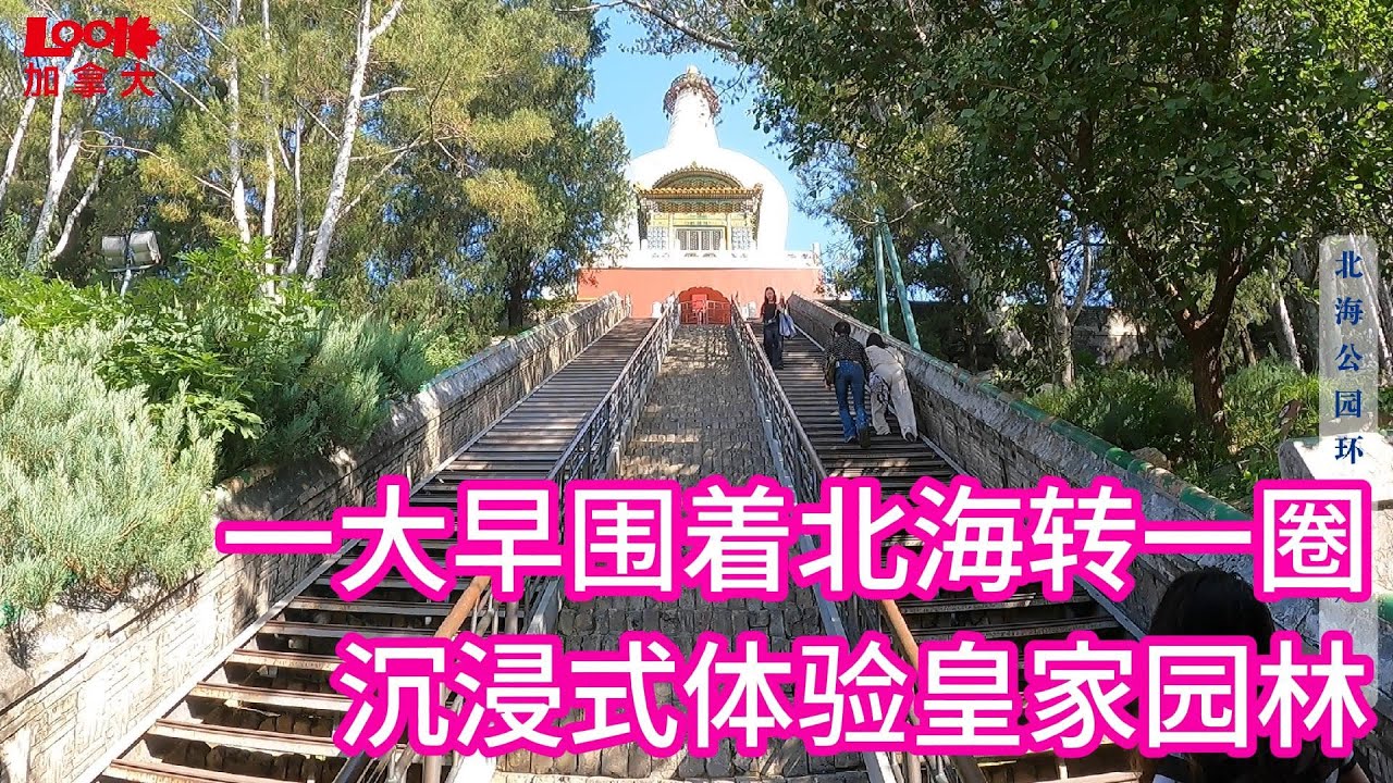 【斌主播日常】一大早绕着皇家园林北海公园转一圈，沉浸式游览，偶遇反诈宣传窗口，挽回8.3亿损失，真牛（欢迎订阅斌主播）