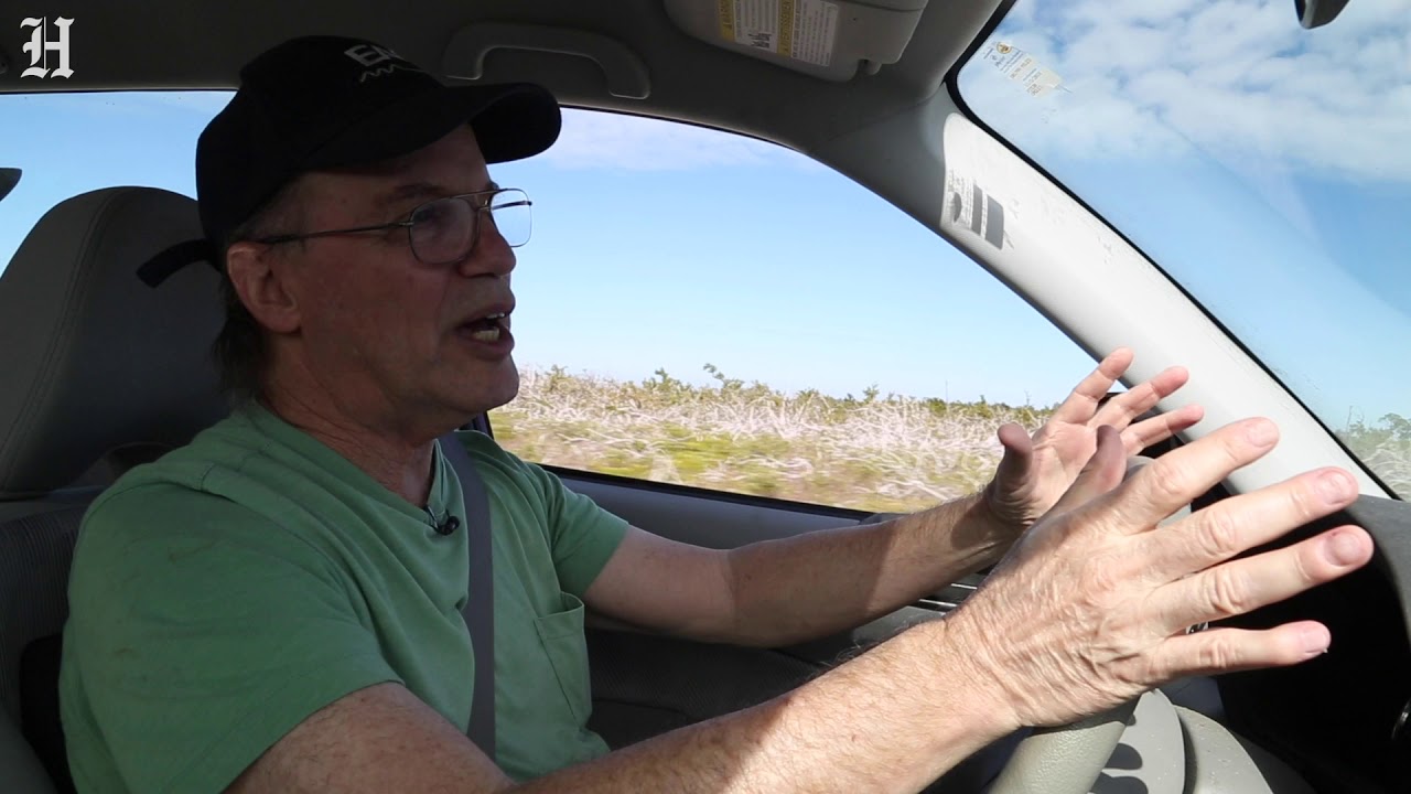 As Seas Rise, A Florida Keys 'Ghost Forest' Makes A Last Stand