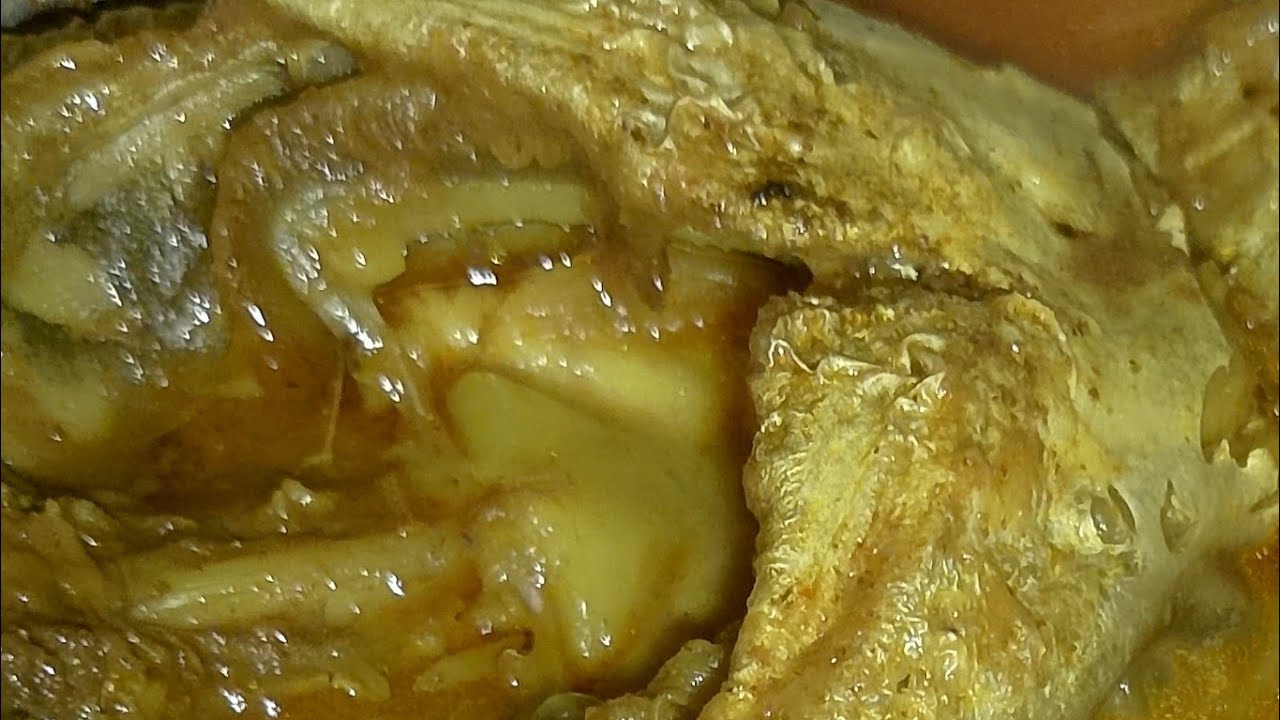 আসসালামু আলাইকুম সবাই লাইভ এ যুক্ত হবেন