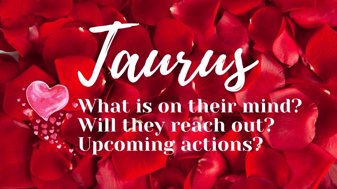 Taurus 💖💖They regret their past actions and want a start over! #Love #Tarot Reading